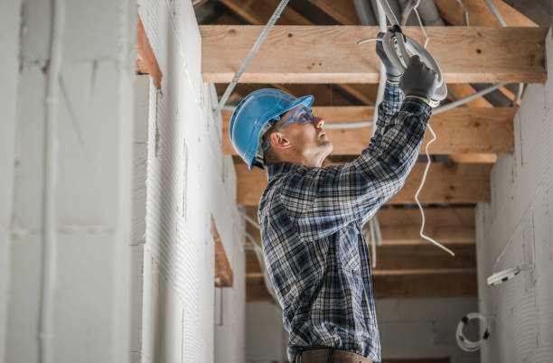 Best Electrical System Inspection  in Springfield, SD