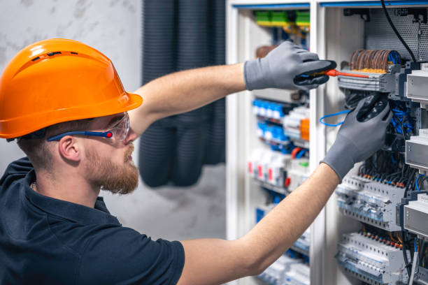 Best Electric Panel Repair  in Springfield, SD